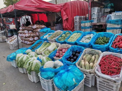 生活記 探訪太原河西農(nóng)副產(chǎn)品批發(fā)市場——滿載而歸的零食尋味之旅