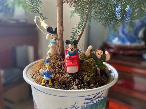 童趣與鄉(xiāng)味 共繪童年零食的田園詩(shī)篇